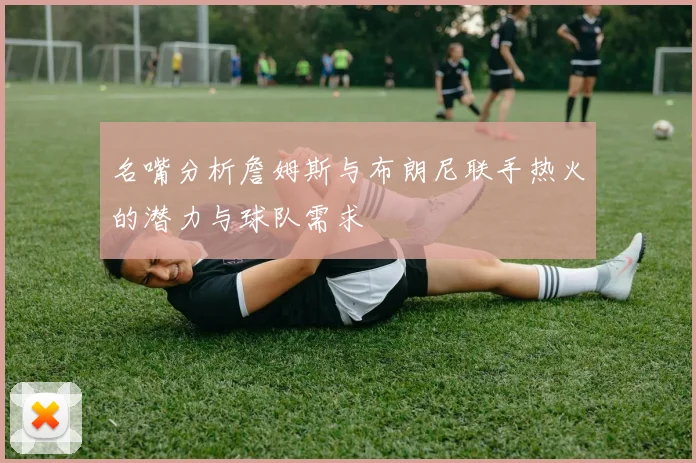 名嘴分析詹姆斯与布朗尼联手热火的潜力与球队需求